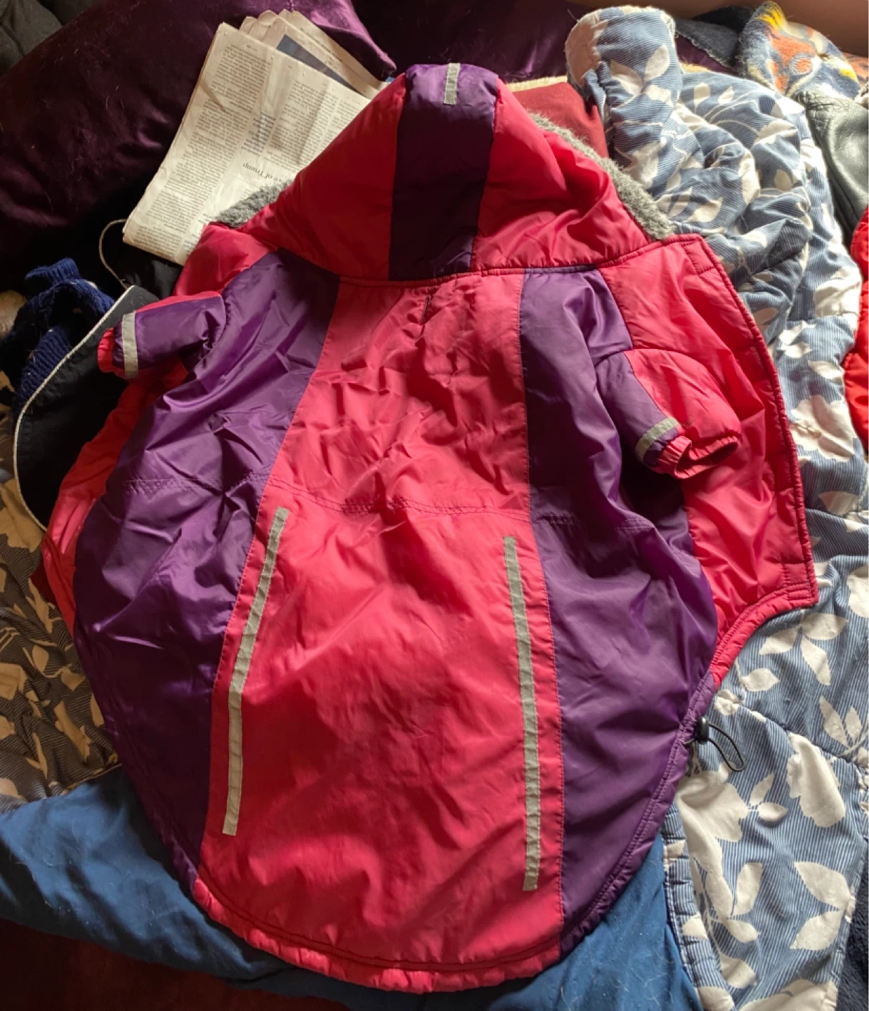 Dog Winter Jacket - Pink/Purple - photo 2