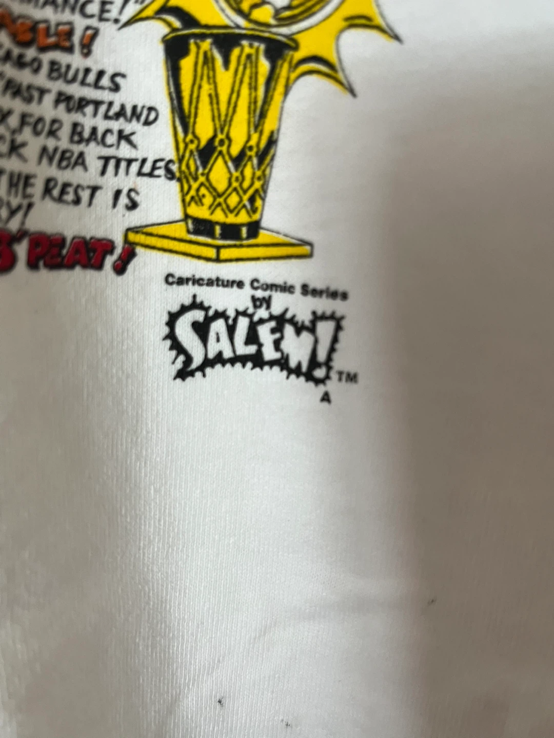 1993 Chicago Bulls 3-Time NBA World Champs T-Shirt Salem - photo 5