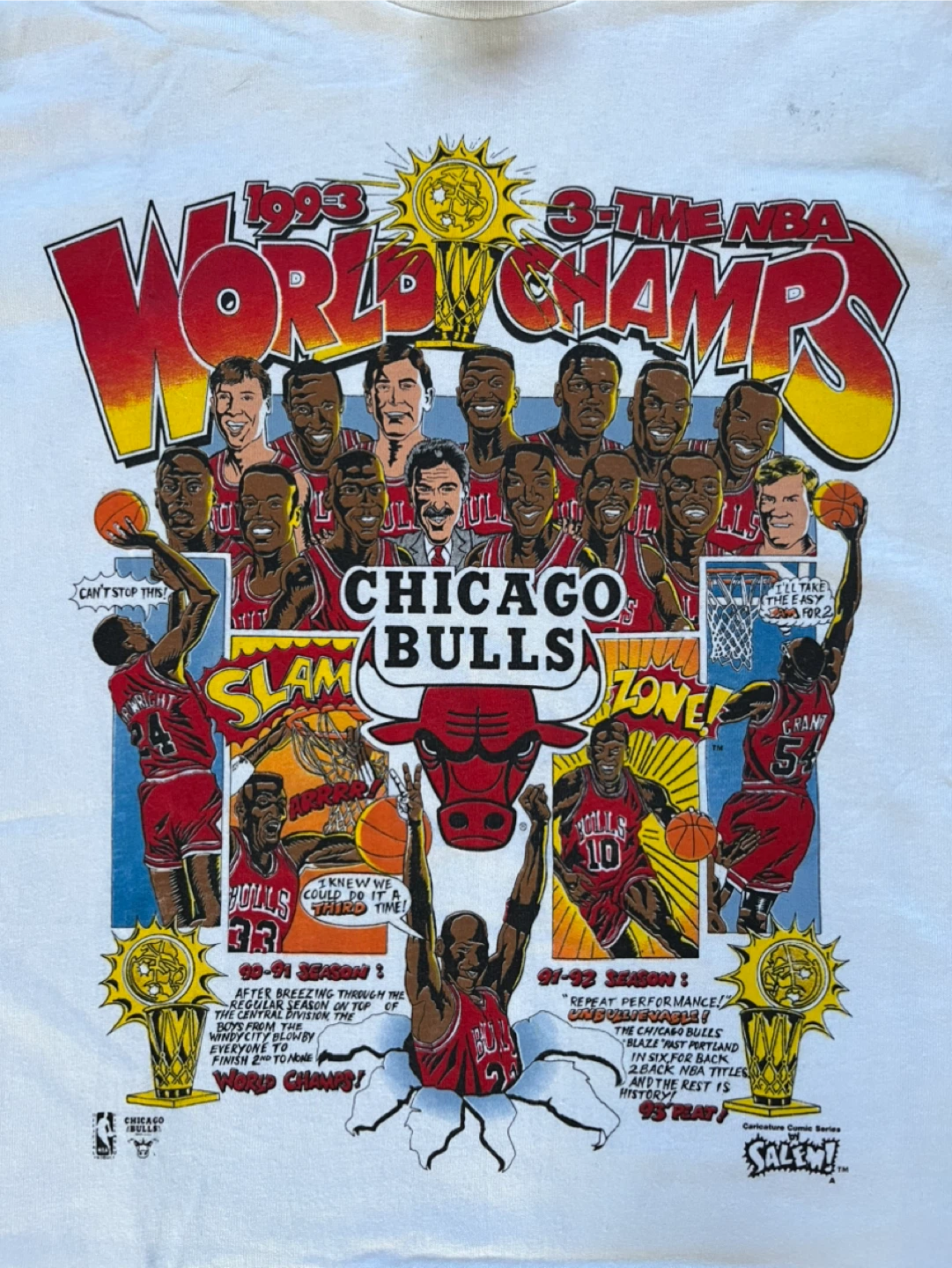 1993 Chicago Bulls 3-Time NBA World Champs T-Shirt Salem