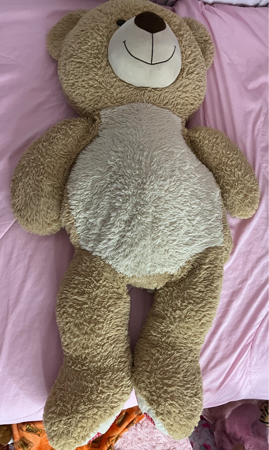Plush Teddy Bear