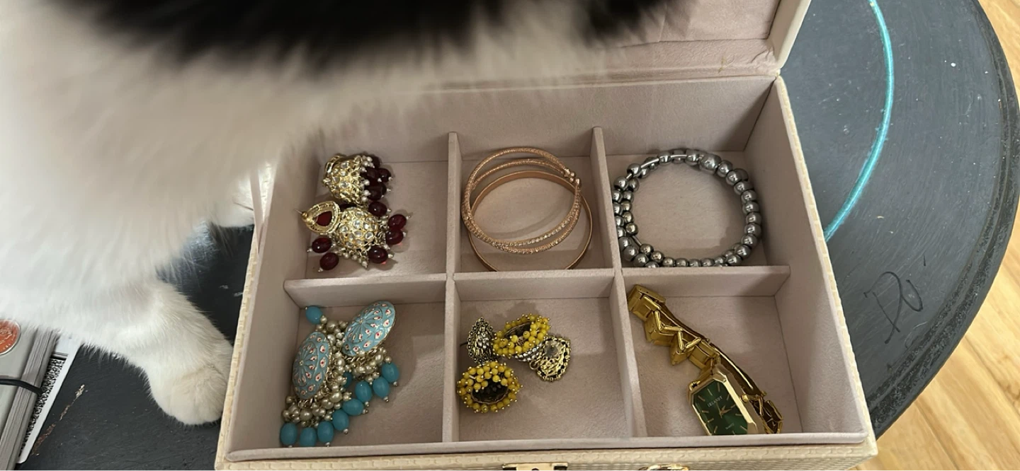 Jewelry Organizer Box with Assorted Accessories - photo 2