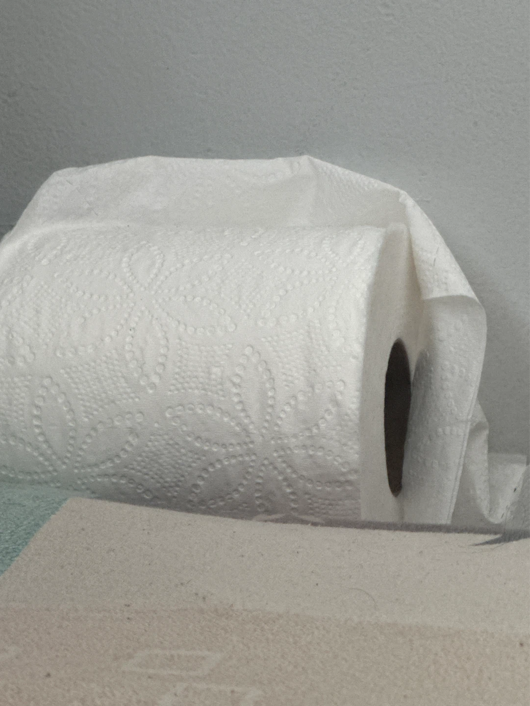 Paper Towels