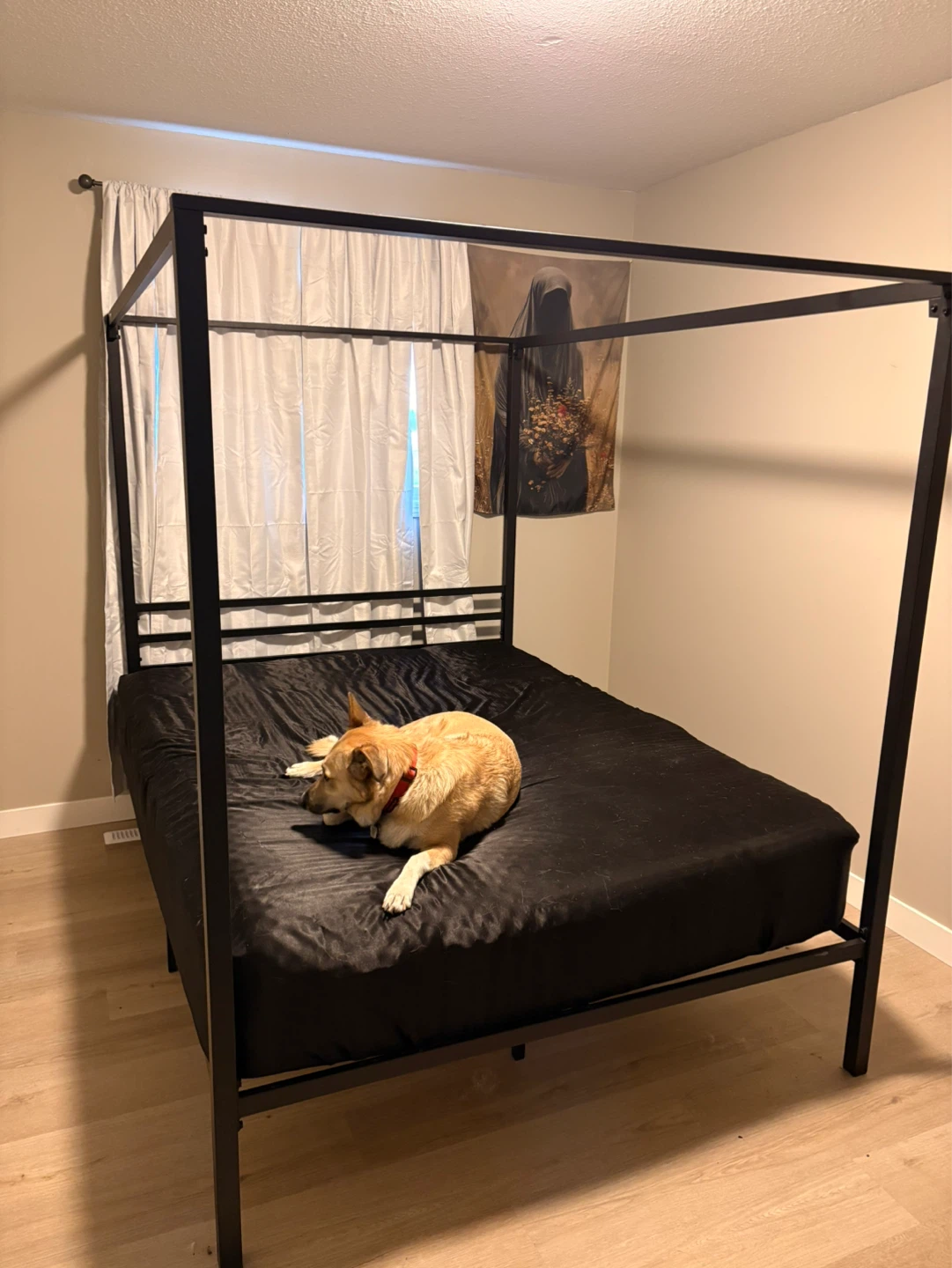 Queen Sized Canopy Bed and mattress