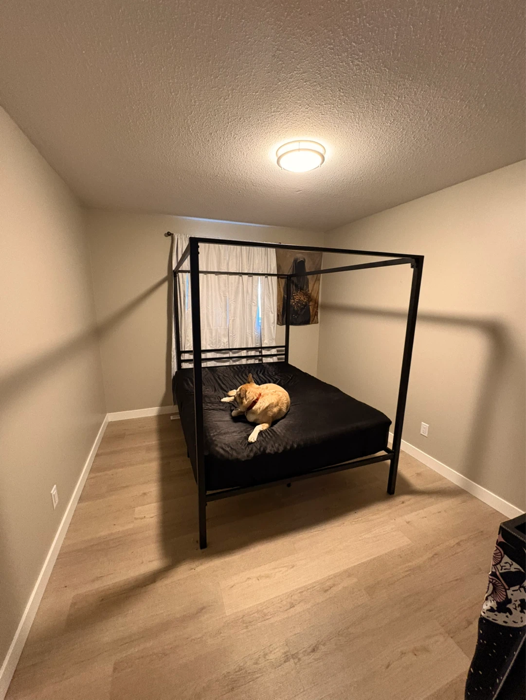 Queen Sized Canopy Bed and mattress - photo 2