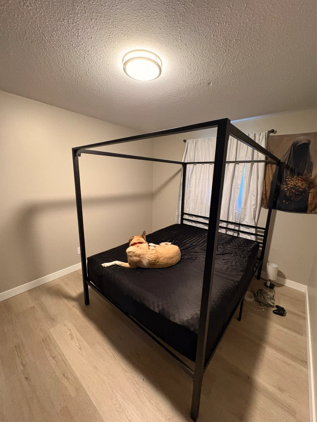 Queen Sized Canopy Bed and mattress - photo 4