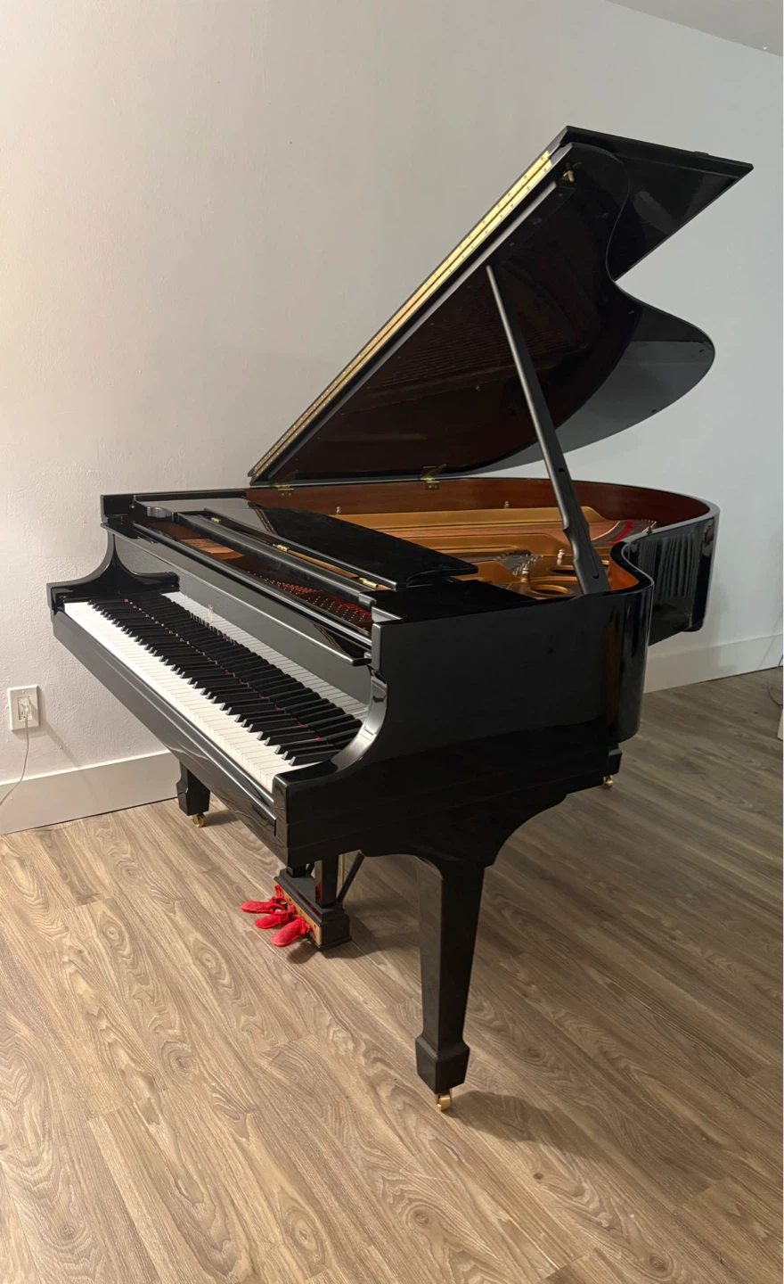 Steinway & Sons living room grand piano