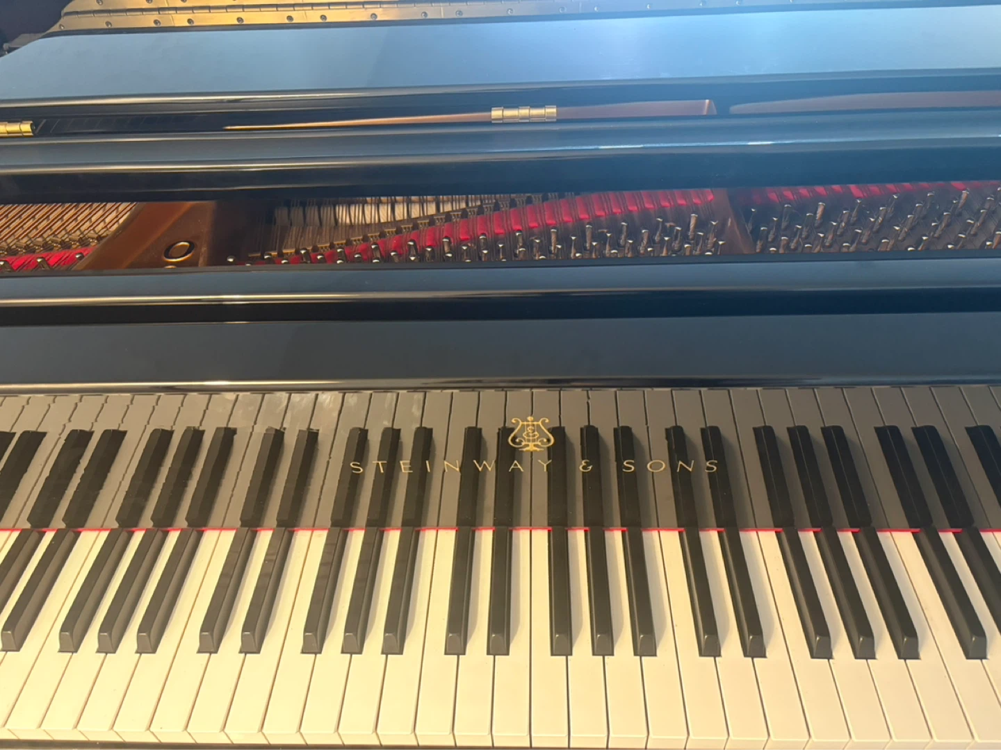 Steinway & Sons living room grand piano - photo 4