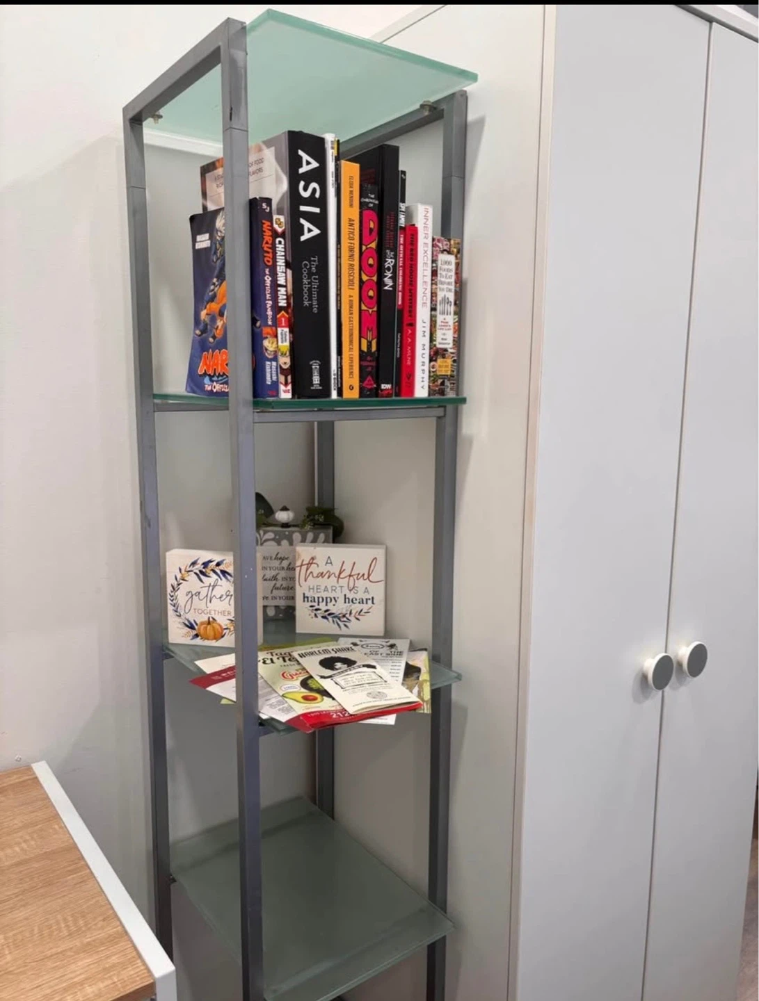 Glass and Metal Bookshelf