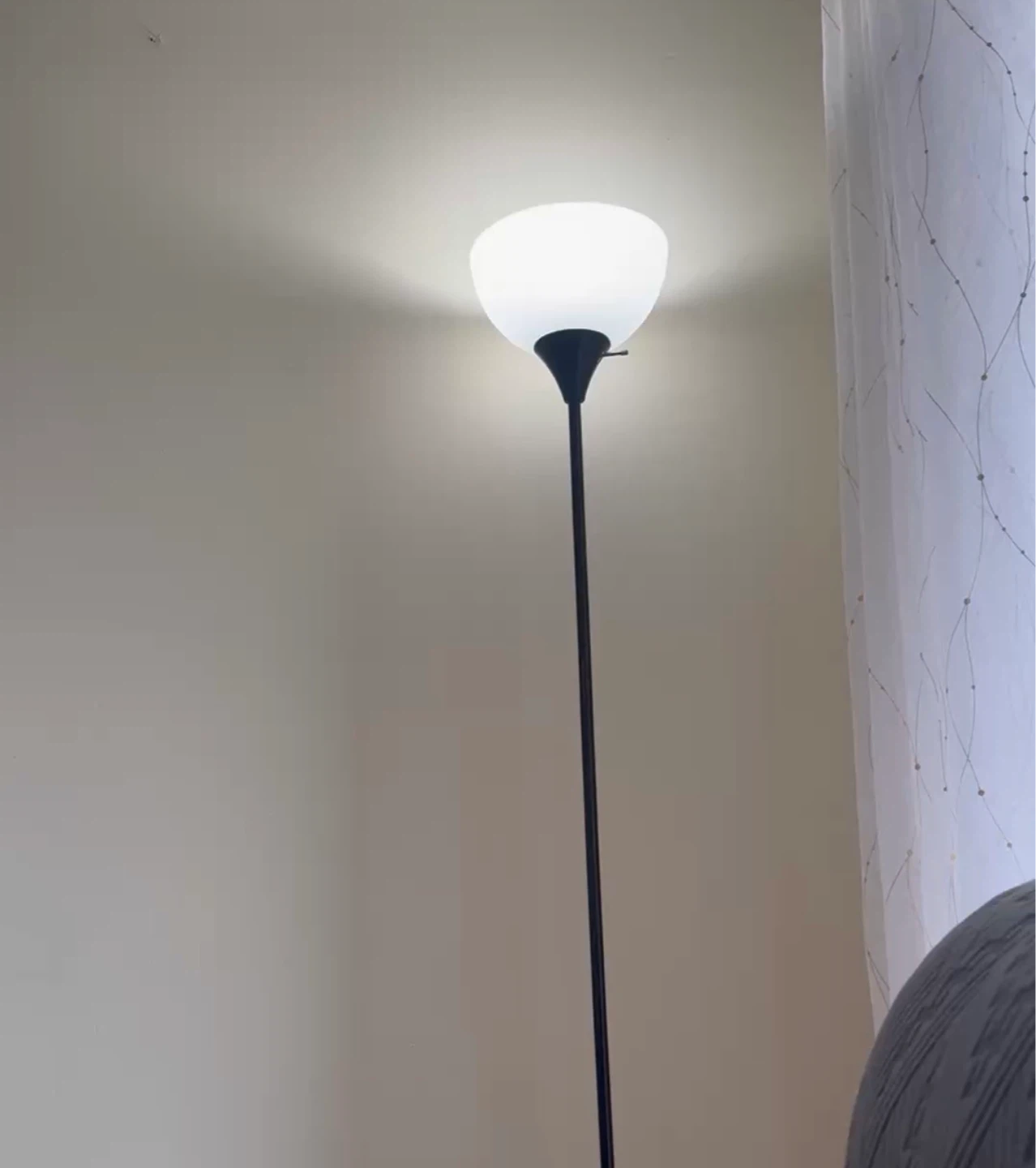 Black Floor Lamp