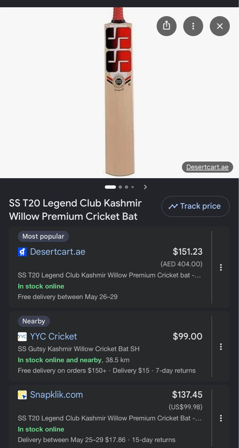 SS T20 Kashmir Willow Premium Cricket Bat – Limited Edition