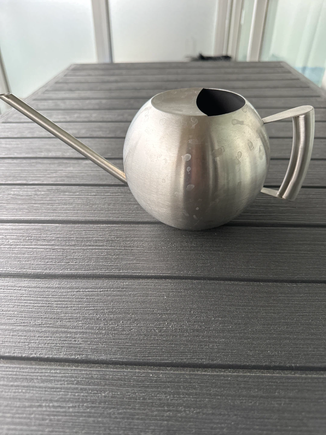 Stainless Steel Watering Can
