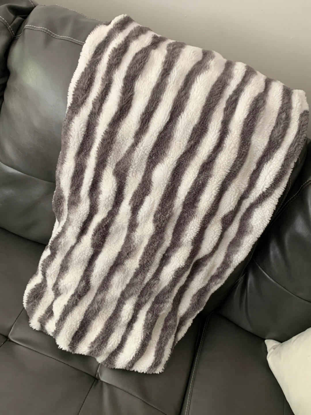 Plush Zebra Print Throw Blanket