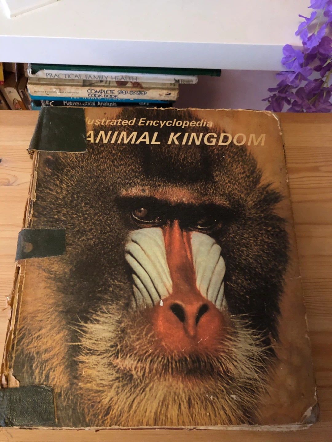 Books for Kids: Dinosaurs & Illustrated Encyclopedia
