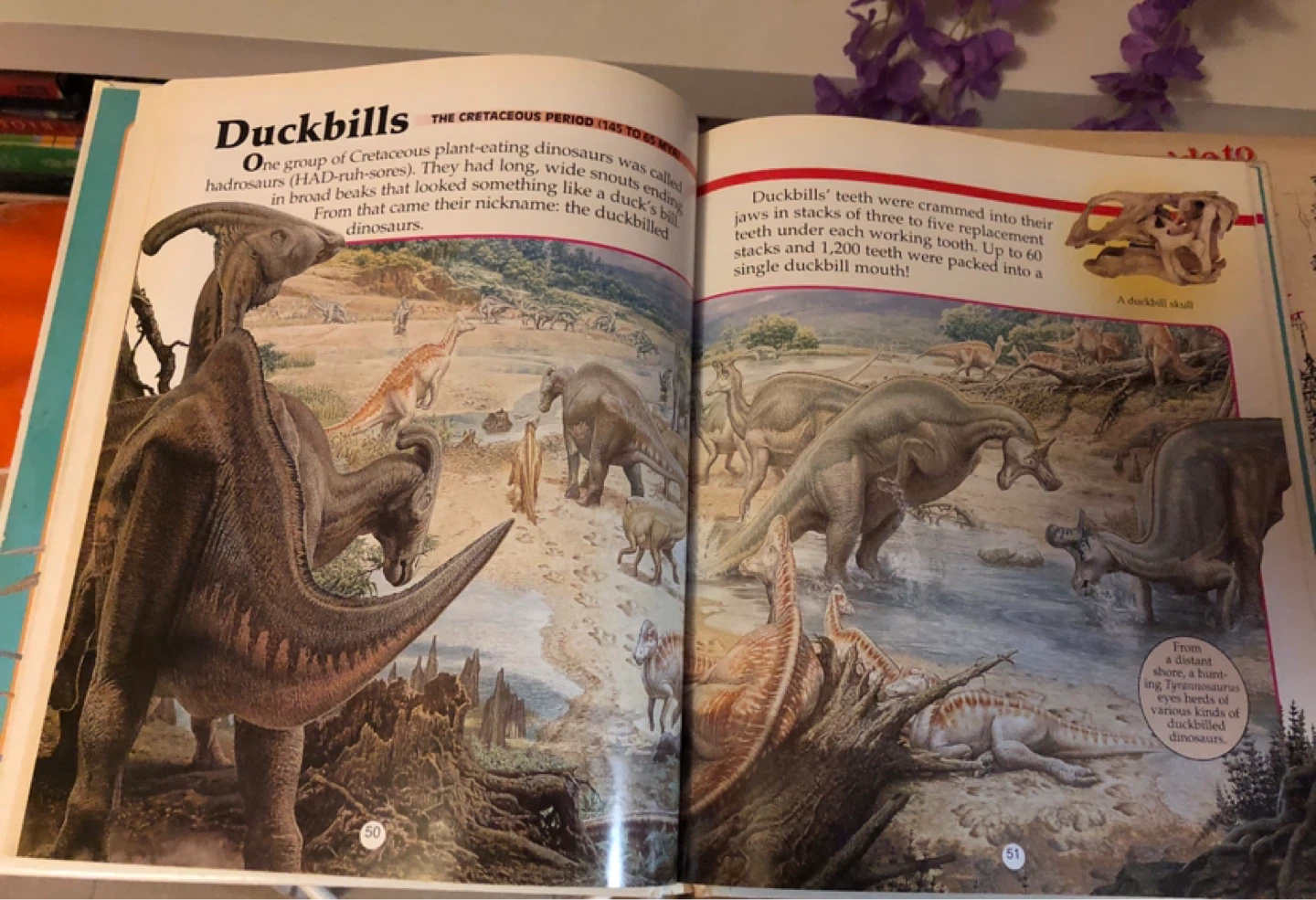 Books for Kids: Dinosaurs & Illustrated Encyclopedia - photo 3