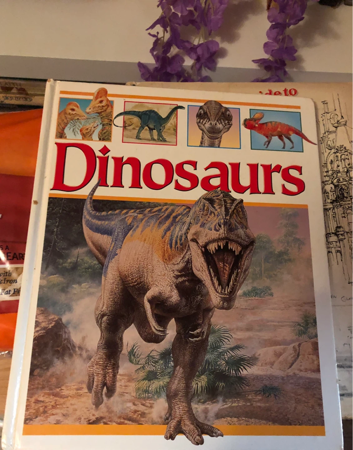 Books for Kids: Dinosaurs & Illustrated Encyclopedia - photo 2