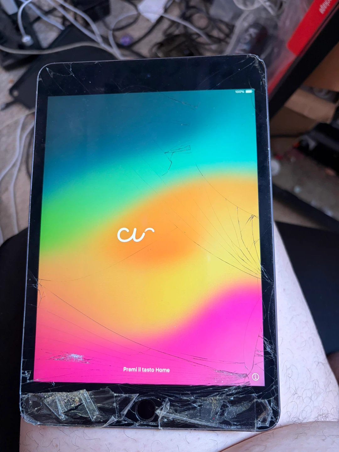 Apple iPad Mini 4 Screen Cracked