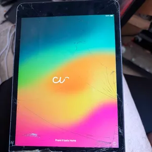 Apple iPad Mini 4 Screen Cracked