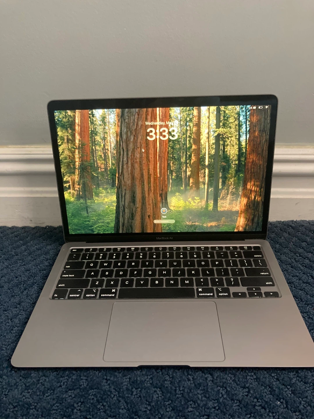 Apple MacBook Air 2020 (intel) in great condition!