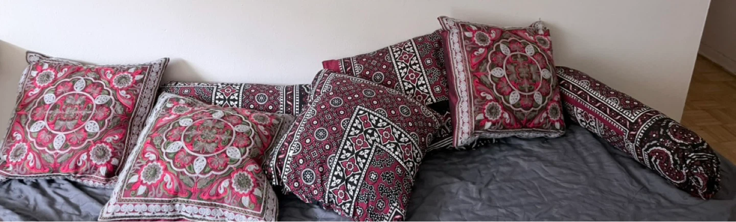 Assorted Decorative Throw Pillows