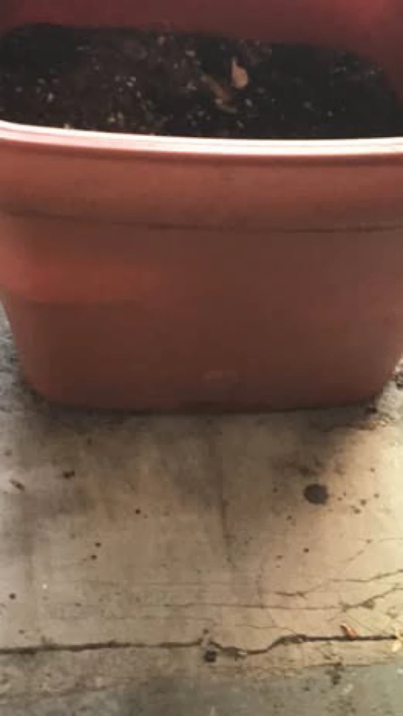 Terracotta Square Planter Pot - photo 4