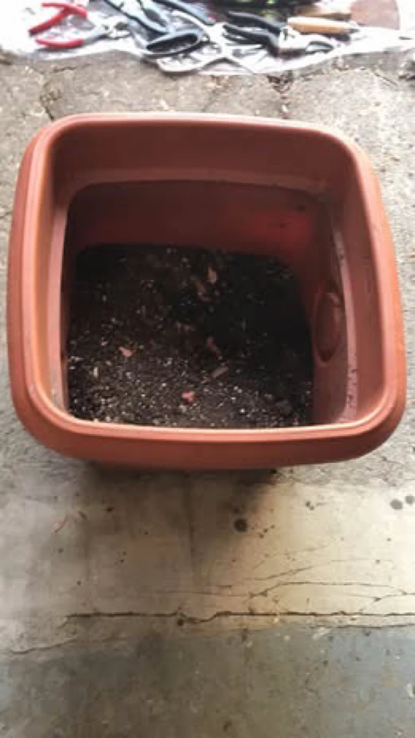 Terracotta Square Planter Pot - photo 3