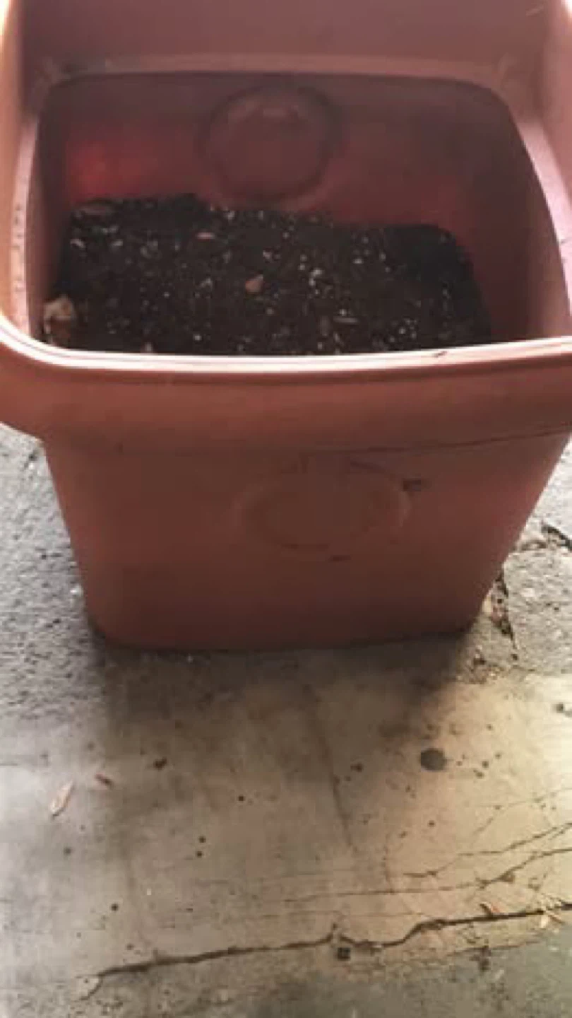Terracotta Square Planter Pot - photo 5
