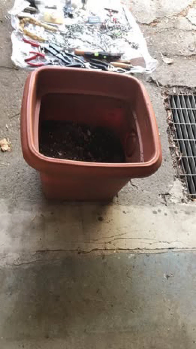 Terracotta Square Planter Pot