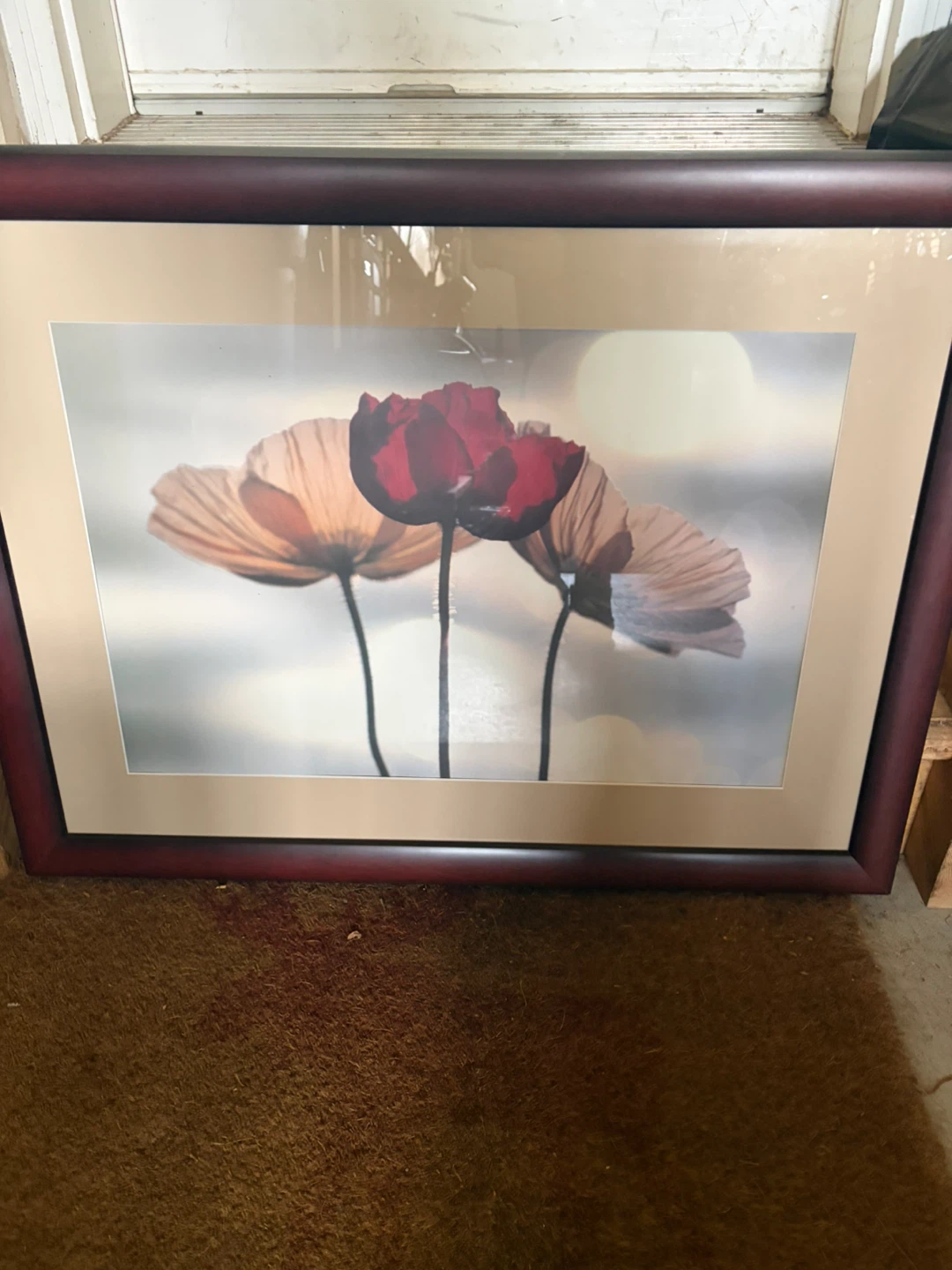 Framed Print - Red Poppies