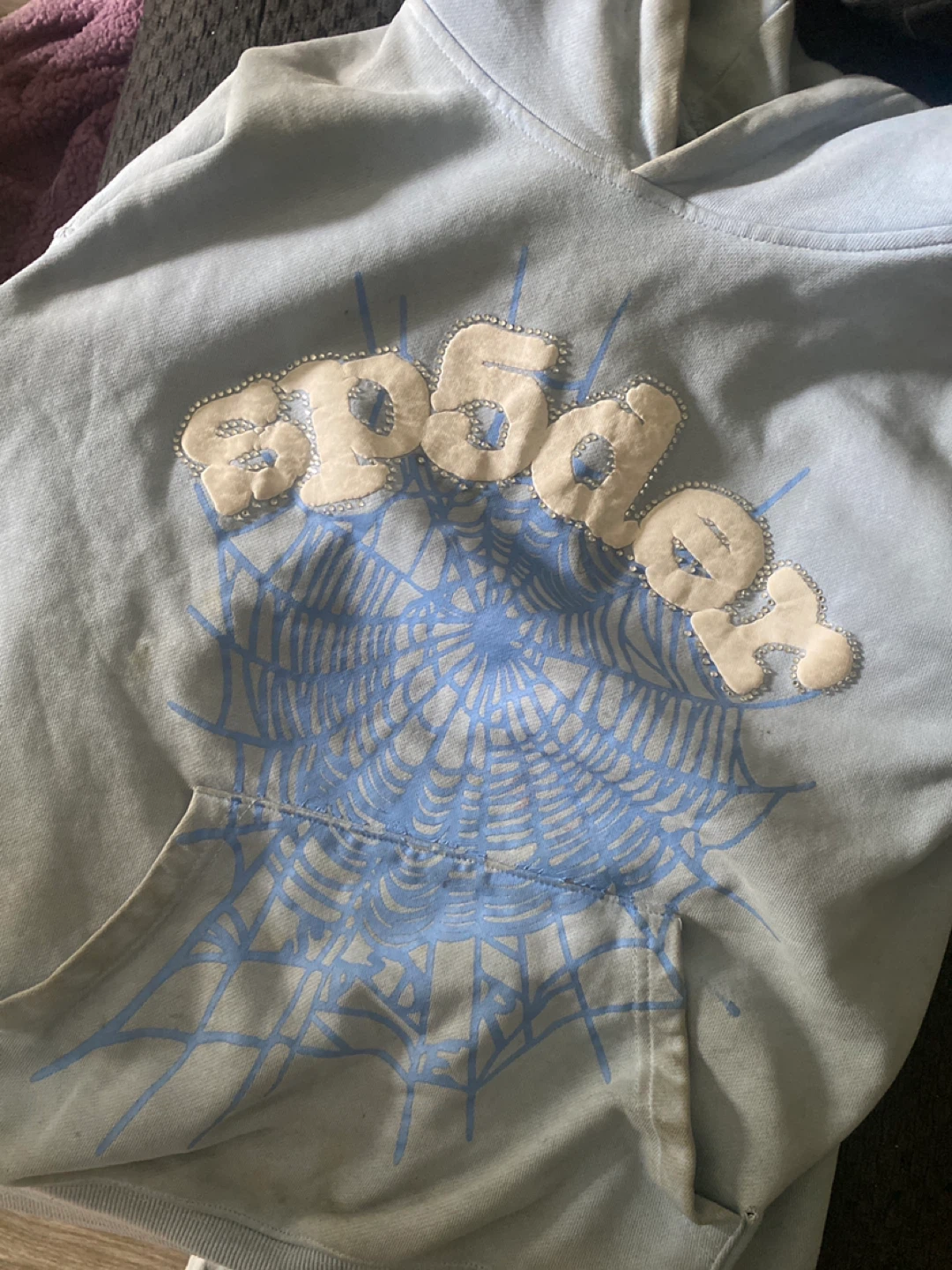 Spiderworldwide Hoodie