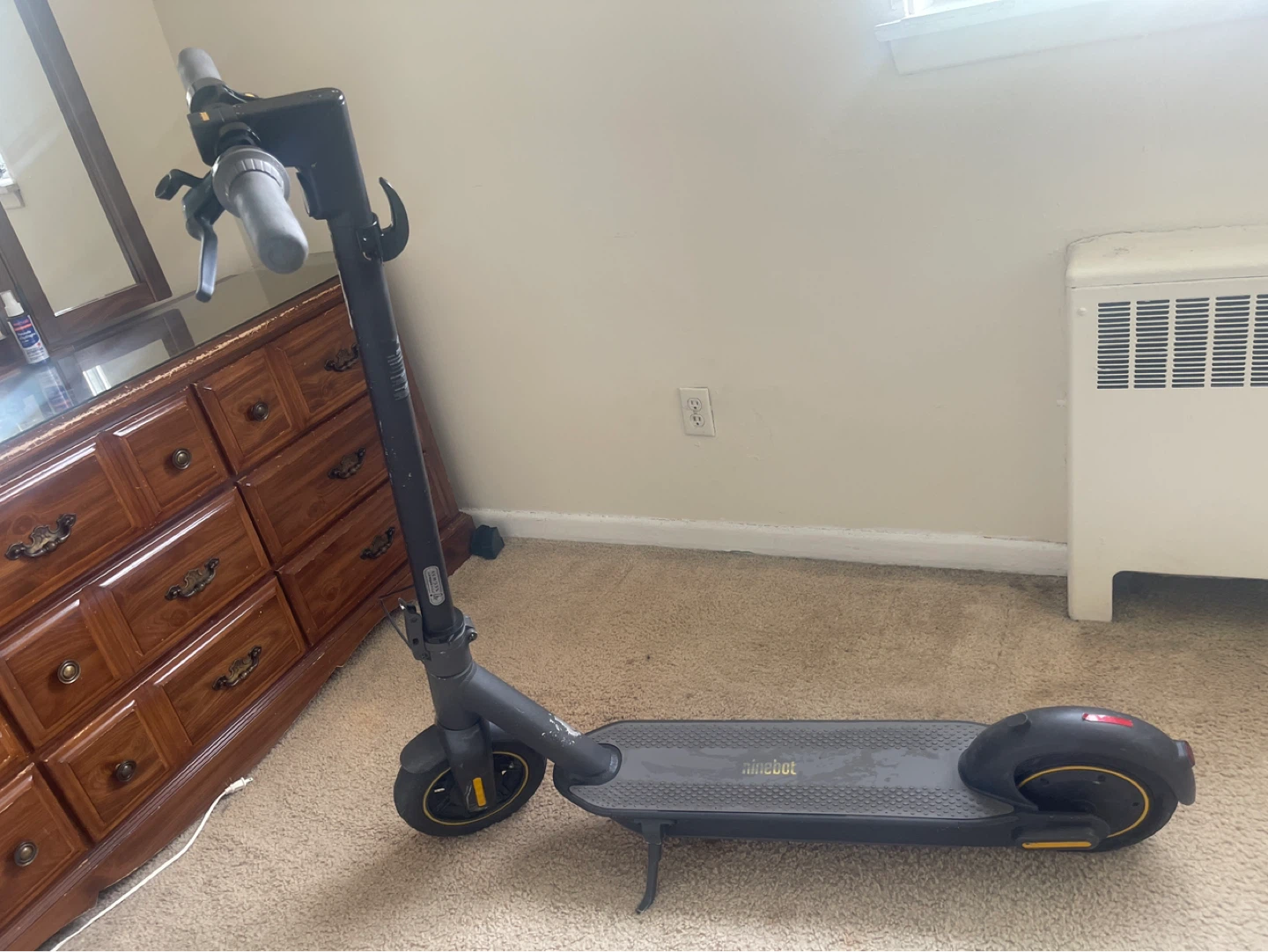 Segway Ninebot Electric Kickscooter