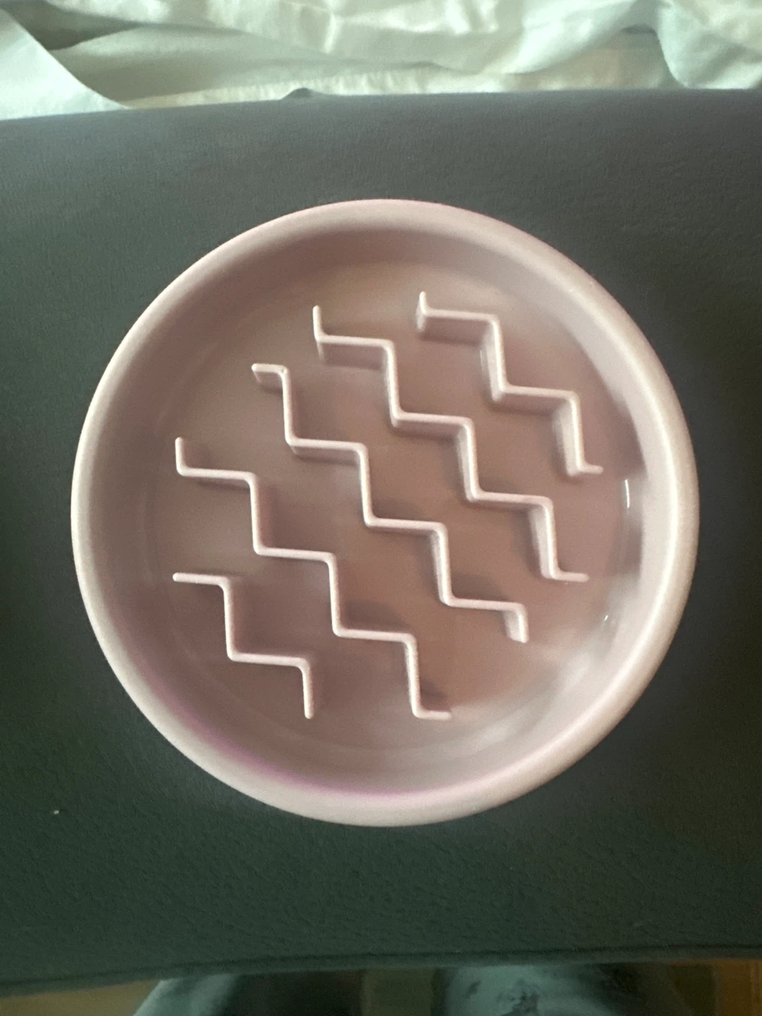 Pink Slow Feeder Pet Bowl