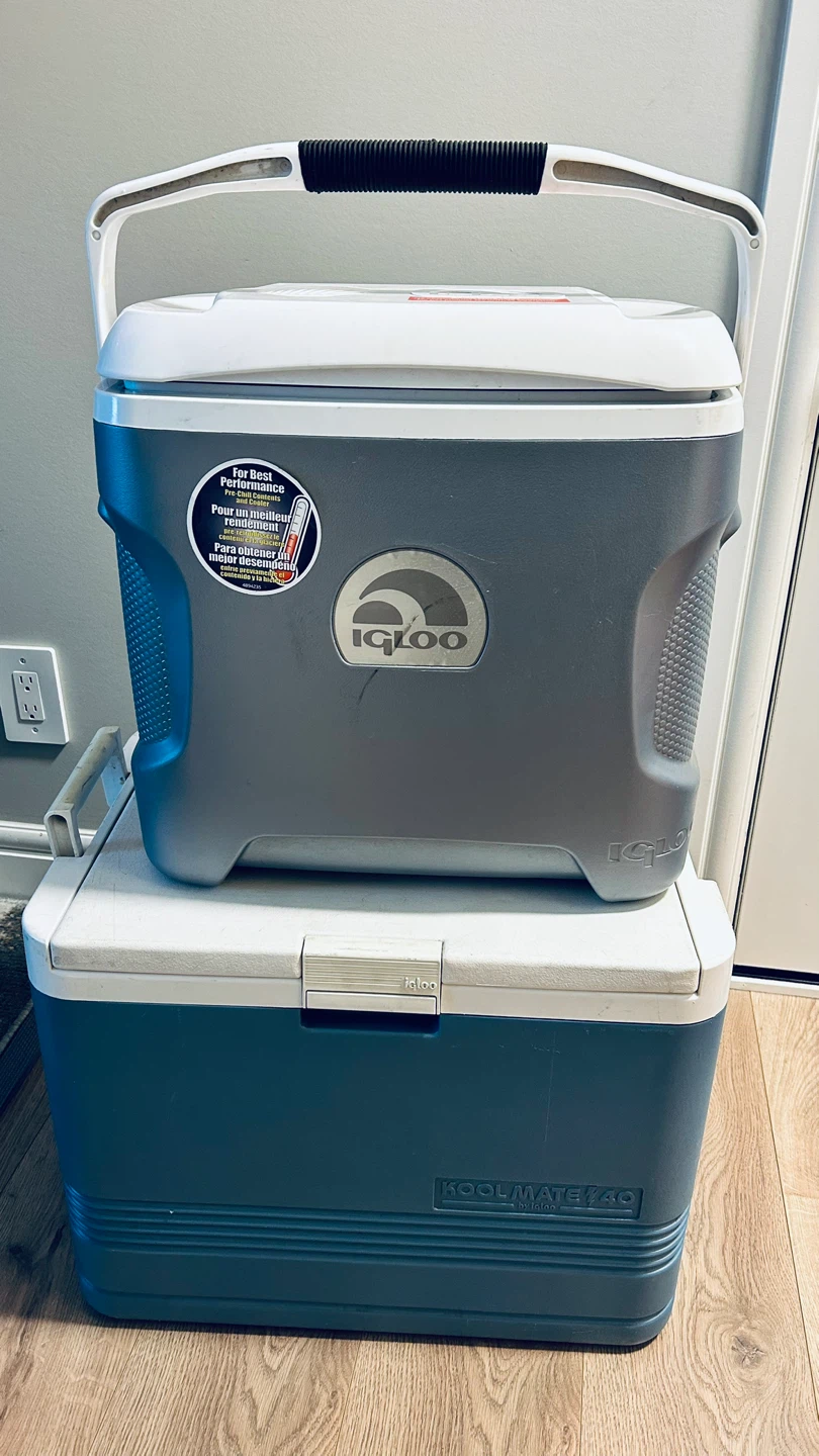 Igloo Cooler – As Is