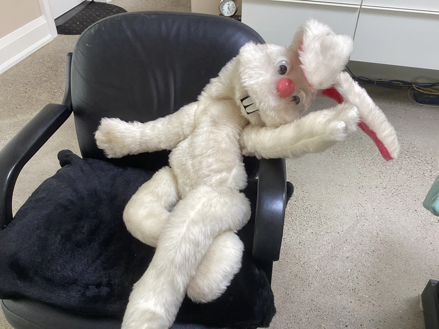 Real ventriloquist’s bunny puppet