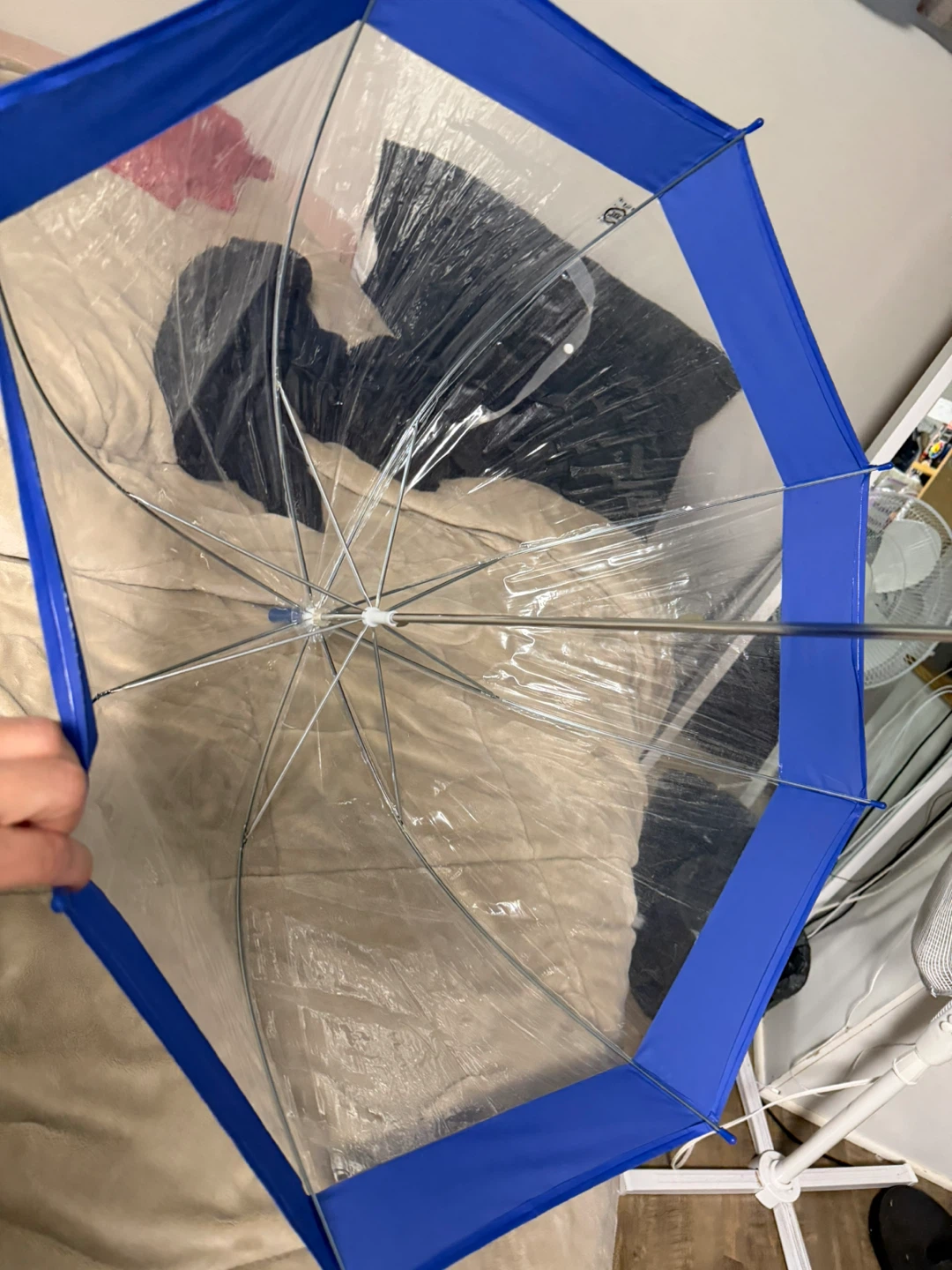 Clear dome umbrella with blue trim - photo 5