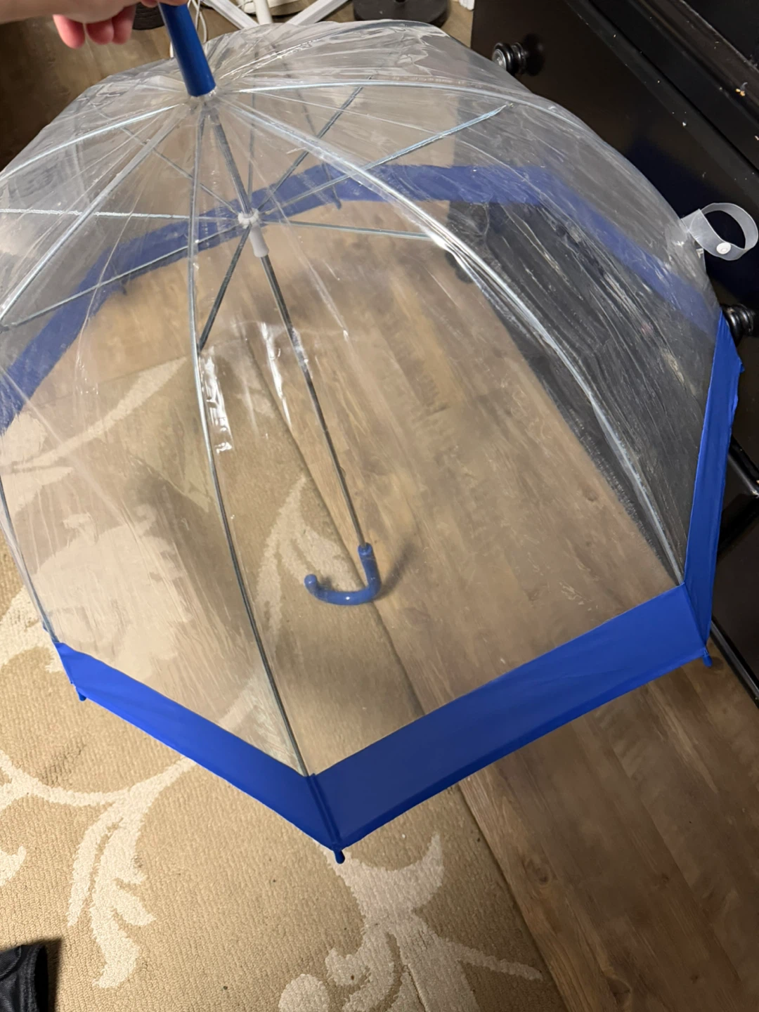Clear dome umbrella with blue trim - photo 4