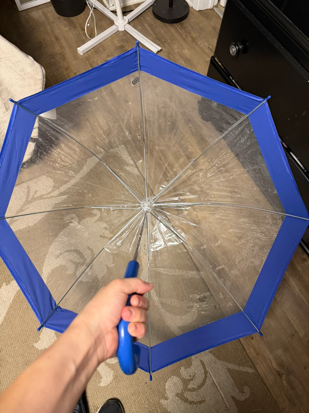 Clear dome umbrella with blue trim - photo 2