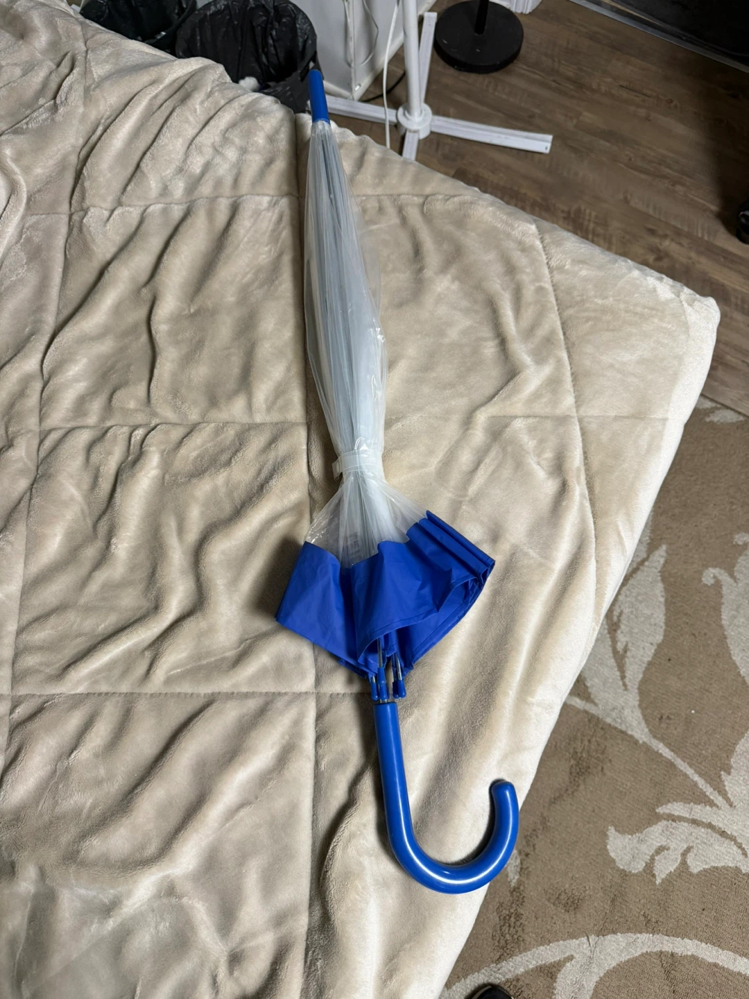Clear dome umbrella with blue trim