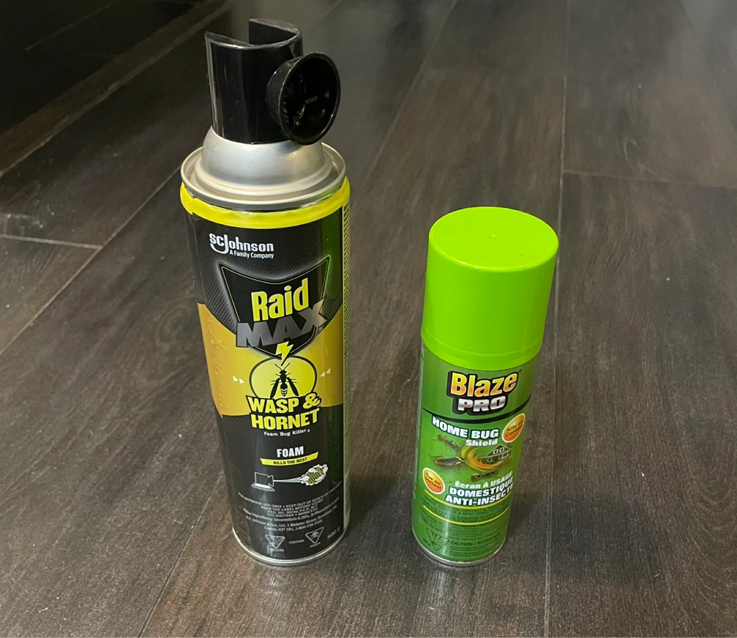 Raid Max Wasp & Hornet Foam Bug Killer