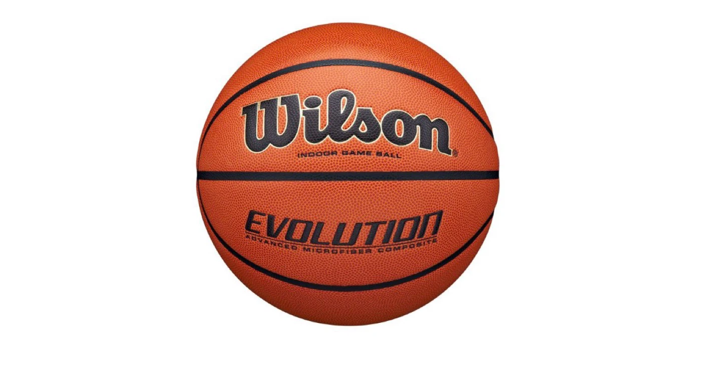 Wilson Evolution Indoor Game Basketball