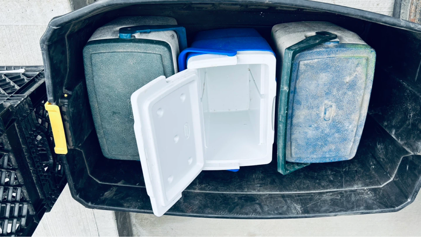Free Coolers & Plastic Crates – Need Cleaning