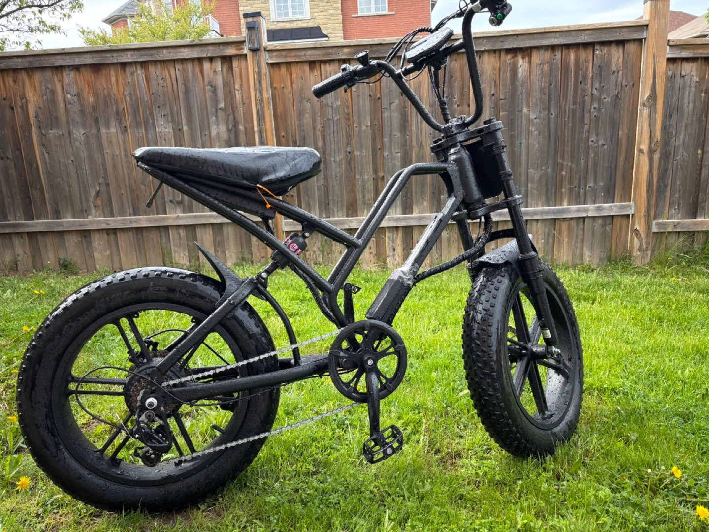 Rpint E-Bike 48V 15Ah 1500w