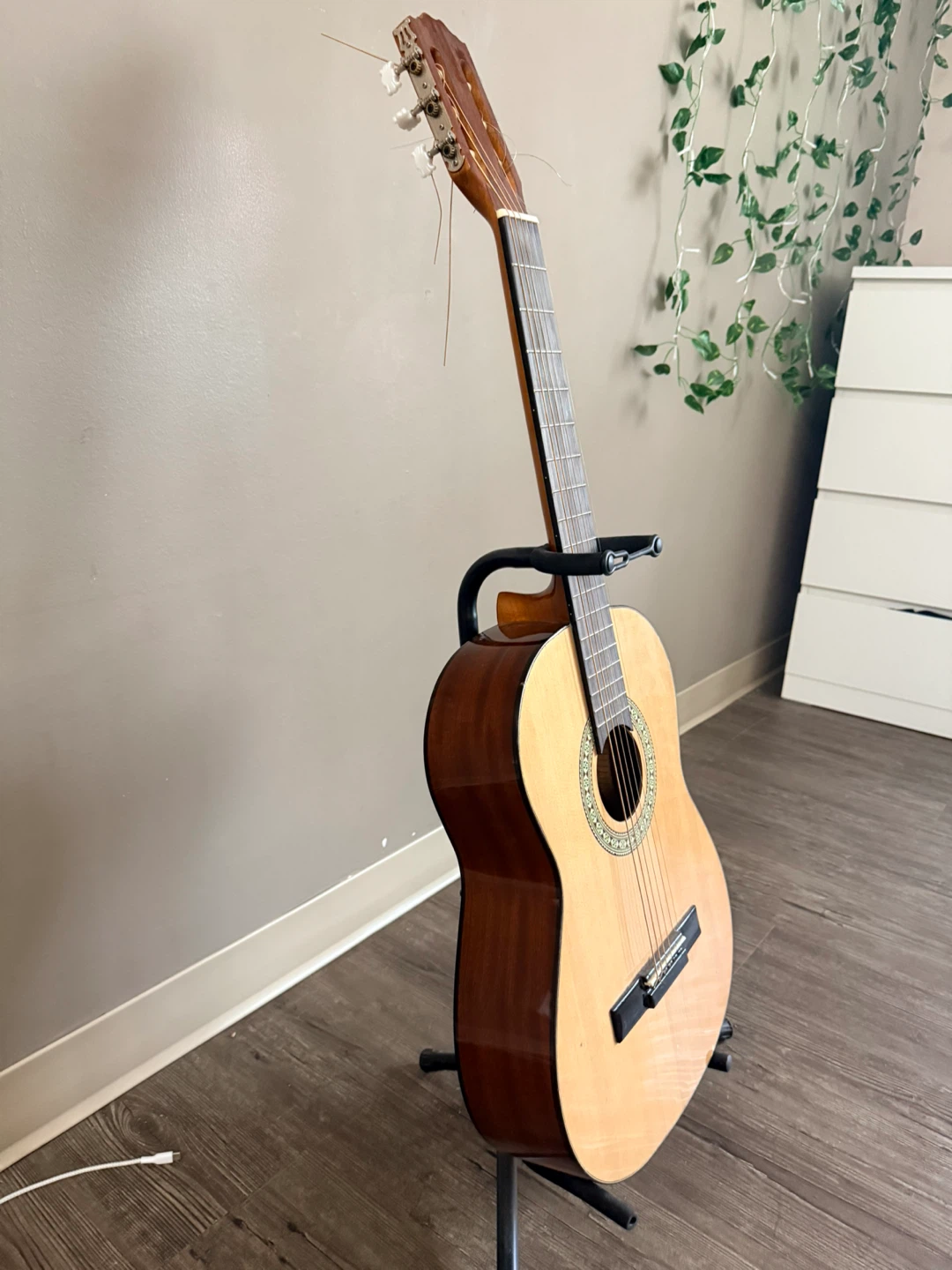 Denver Guitar - photo 3