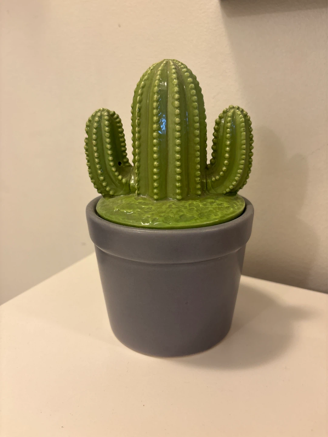Ceramic Cactus Succulent Pot