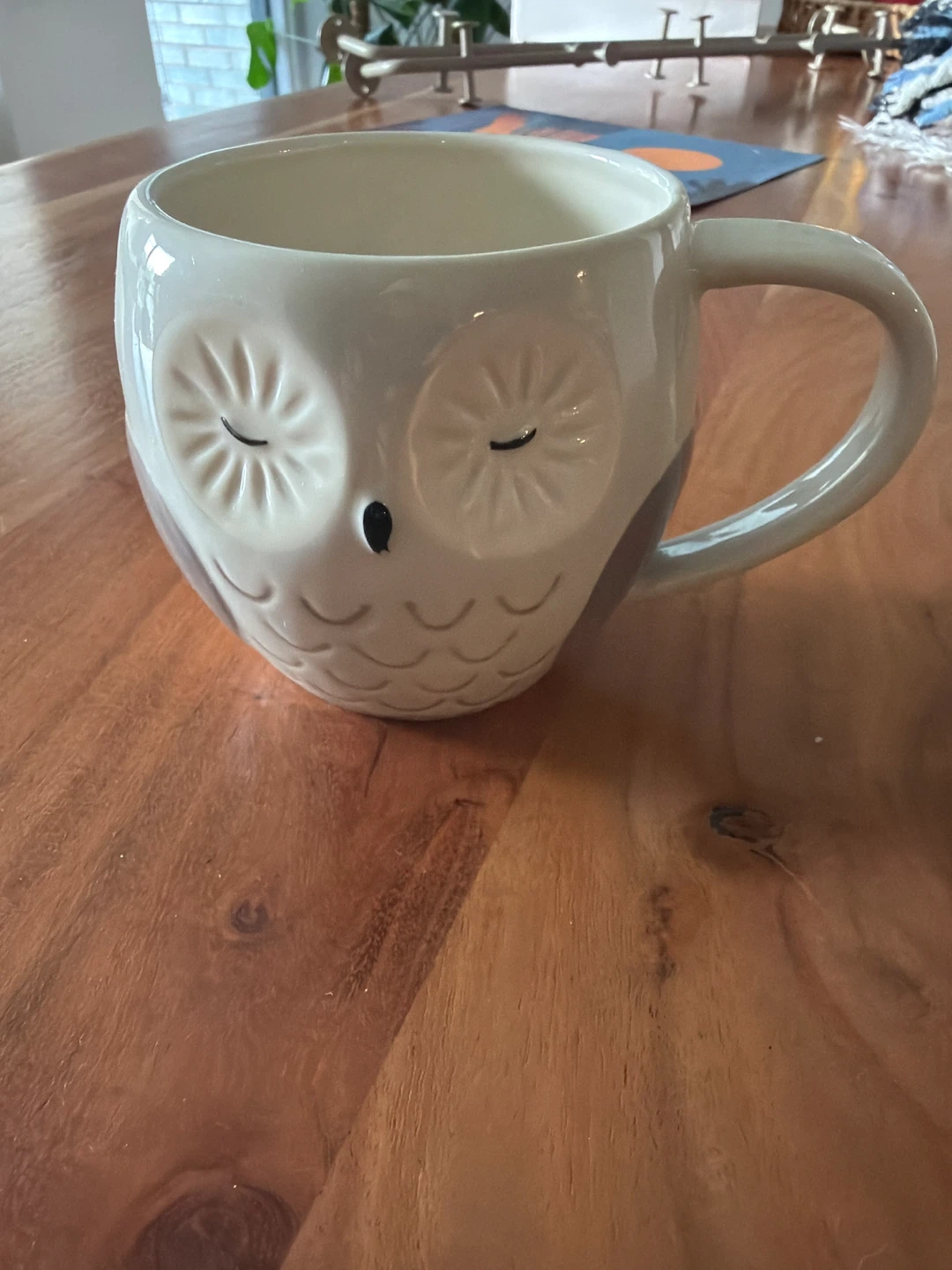 Owl Ceramic Mug