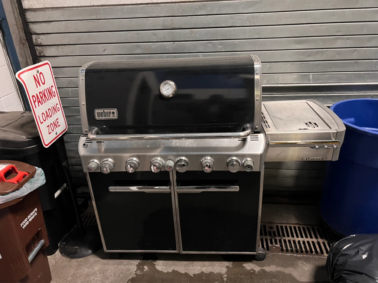 Weber Summit Series 6-Burner natural gasGrill with Side Burner