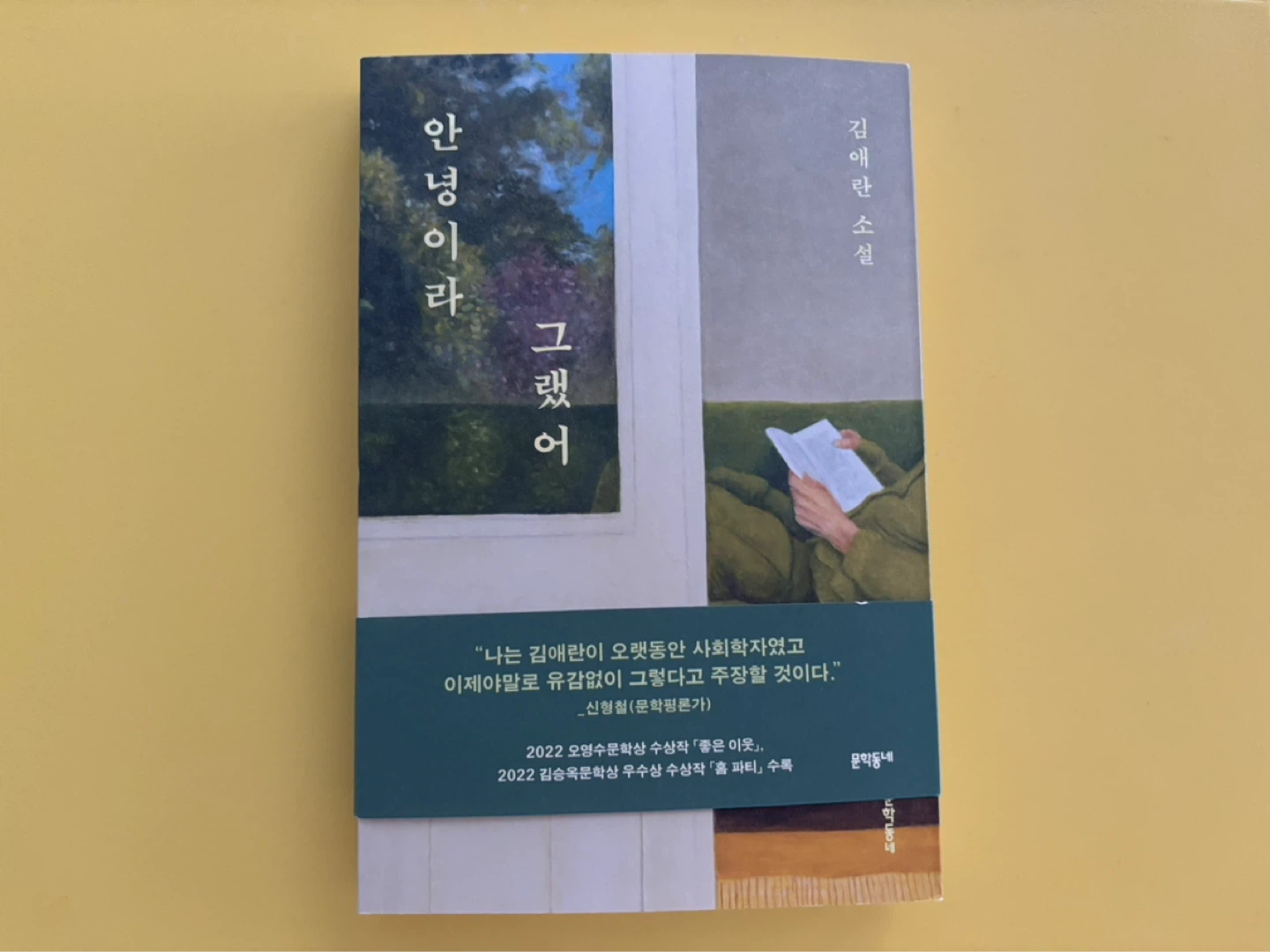 Korean book-안녕이라 그랬어