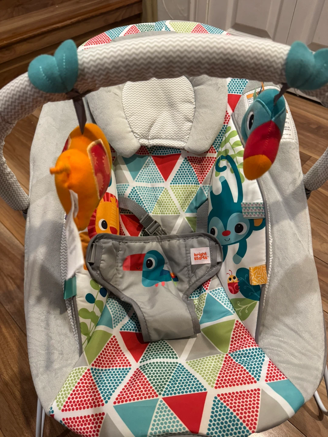 Bright Starts Baby Bouncer with vibration - photo 3
