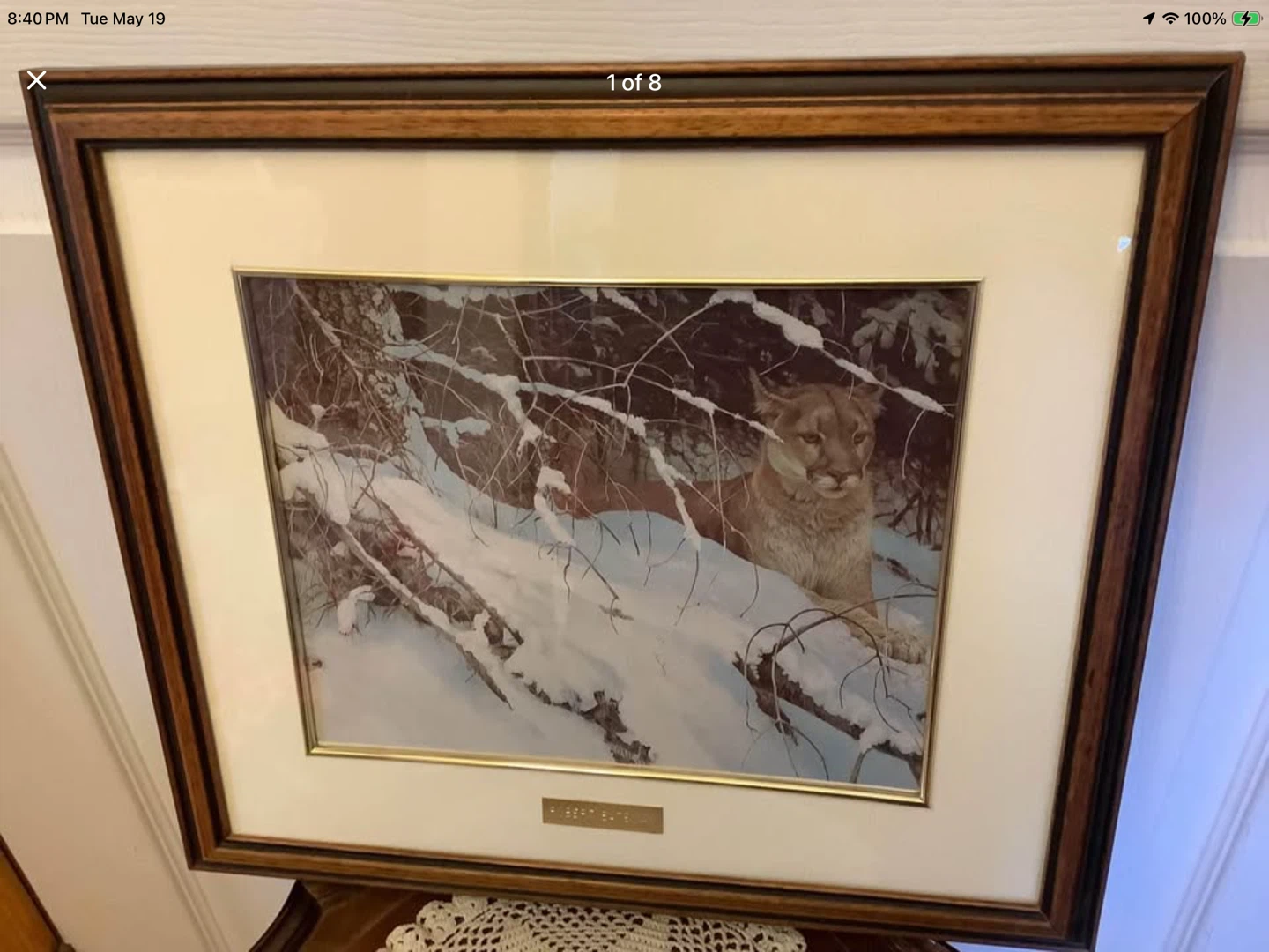 Robert Bateman’s Vt Print “Cougar in the Snow” 🐞