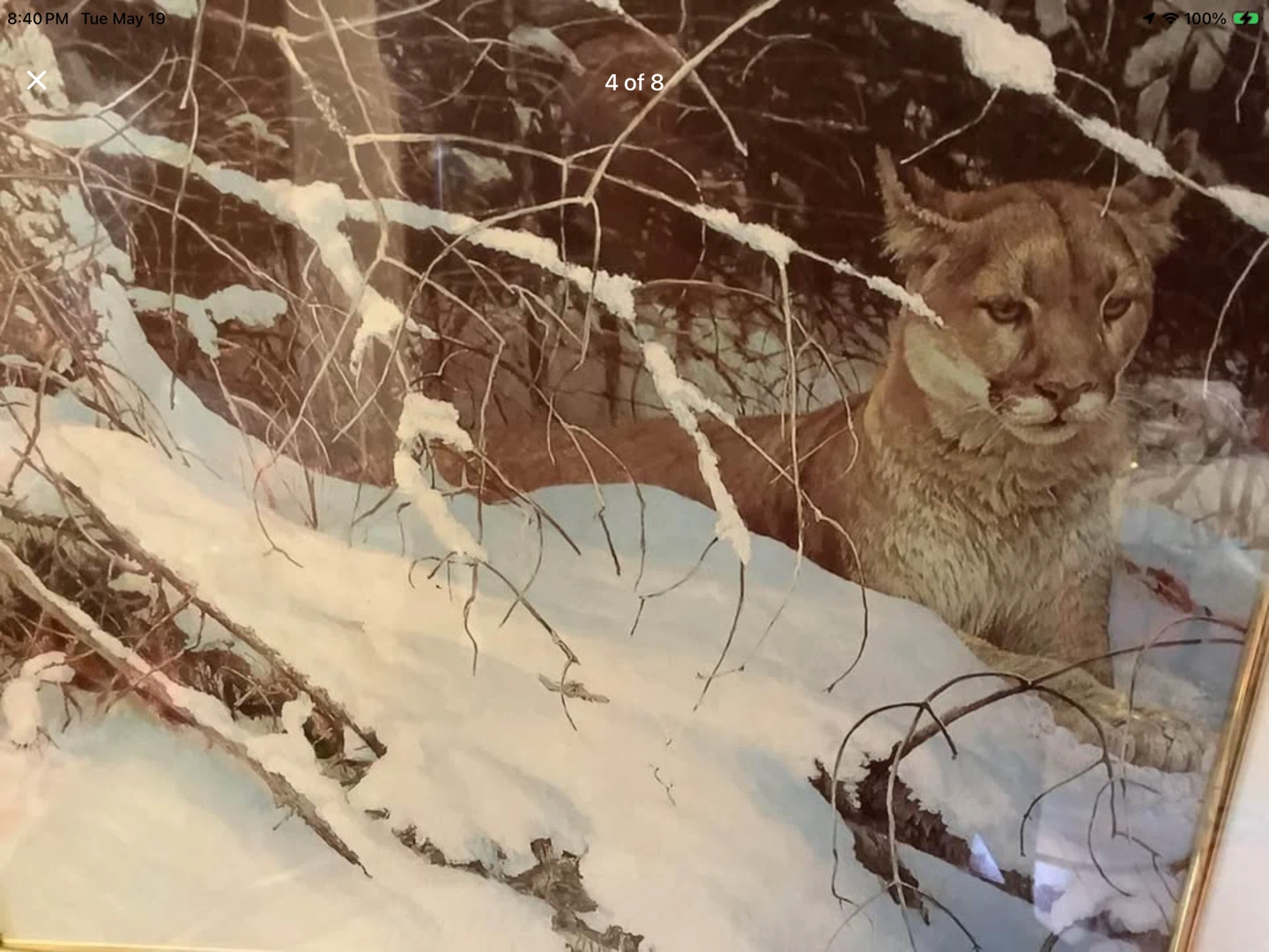 Robert Bateman’s Vt Print “Cougar in the Snow” 🐞 - photo 3