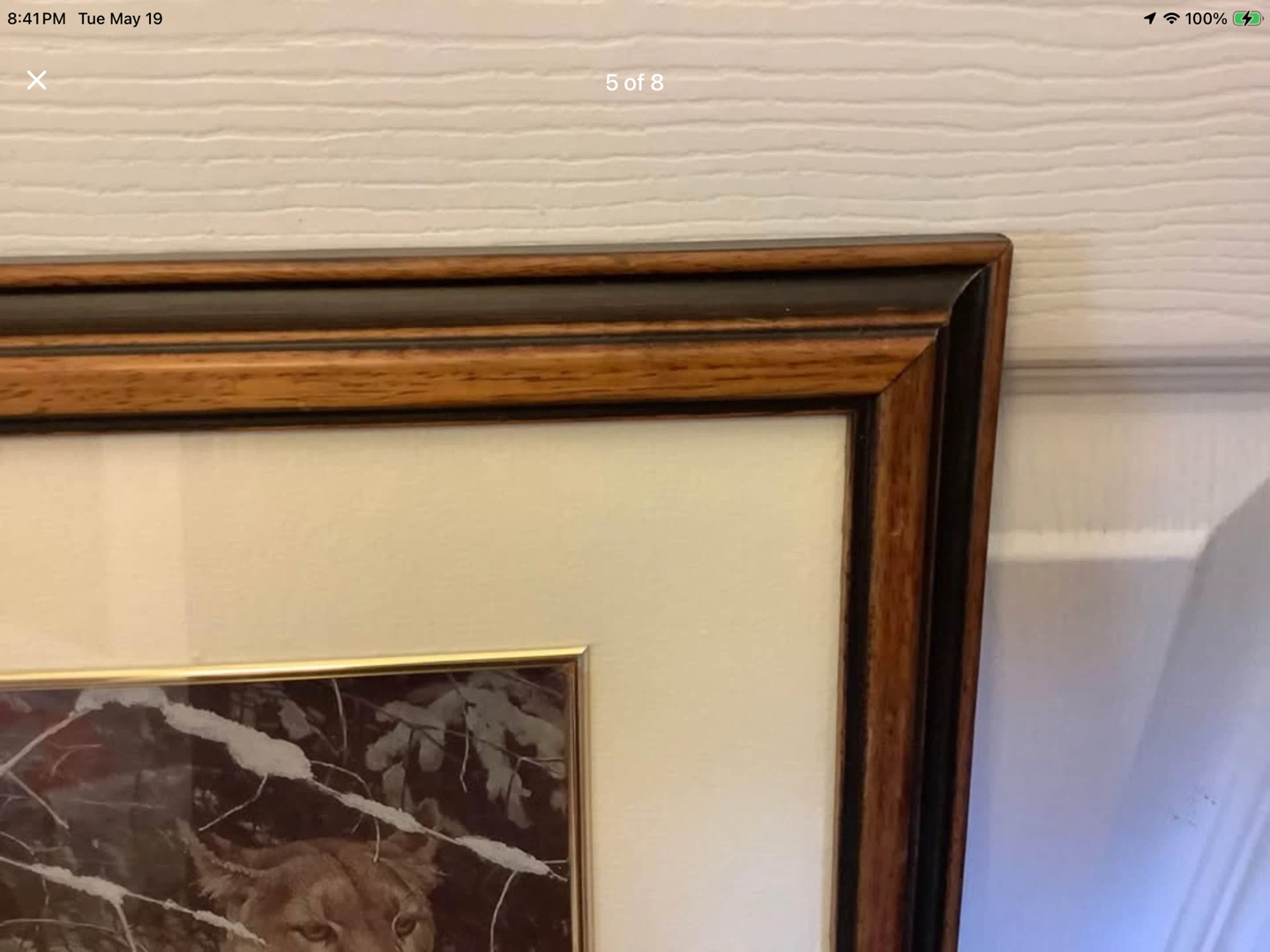 Robert Bateman’s Vt Print “Cougar in the Snow” 🐞 - photo 4